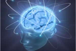 brain2