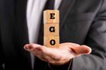 Ego image